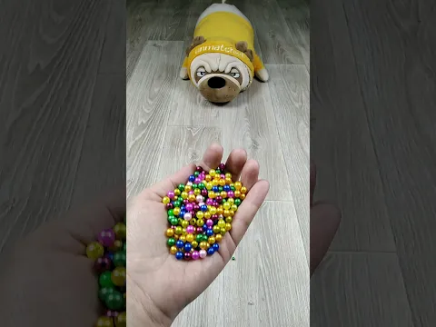 📿 🐕 Reverse Video ASMR #marblerunandmore