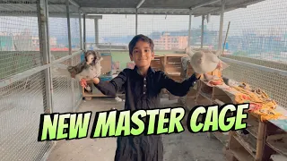 Kabutaro ke liye naya master cage bana diya 😍😍 talha ho gaya khush 😂😂