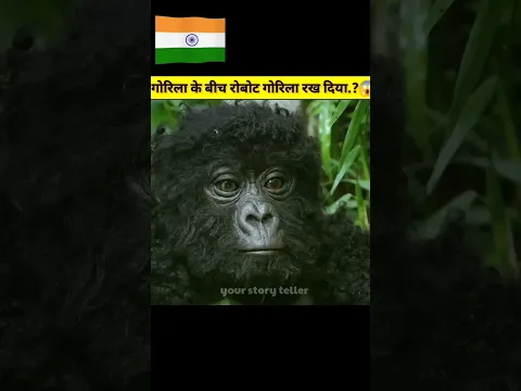 गोरिला के बीच रोबोट गोरिला रख दिया🤯#shorts #facts #yourstoryteller #yt20 #education #india #animals