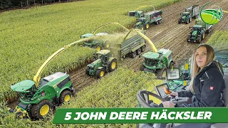 Maishäckseln mit den neuesten  JOHN DEERE Feldhäckslern