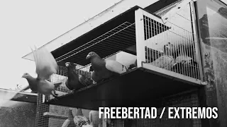 BARBARO URBANO VARGAS con AERSTAME & JUGLARBEE - FREEBERTAD / EXTREMOS