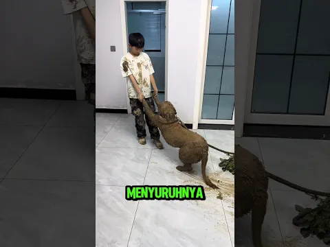 ibunya sangat marah melihat tingkah anaknya‼️#viralvideo #trendingshorts #comedy #viral #automobile