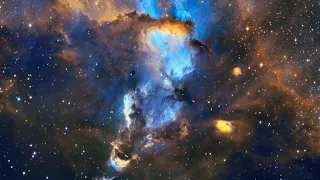 2022 — Year in Search