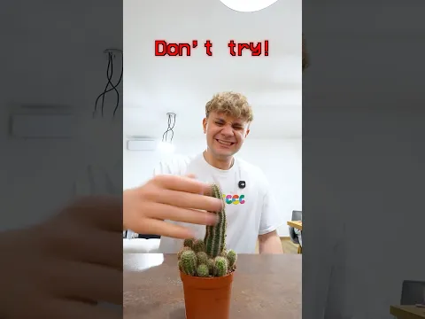 Jak Bezpečně Vyndat Bodliny Kaktusu?