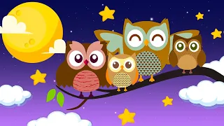 Pregnancy Music Mozart - Classical Music for Babies Brain Development - Unborn Baby Music