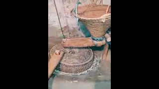 تقاليد سوسية امازيغية راسخة