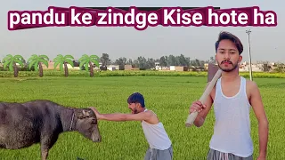 PANDU ke zindagi 😂 @ansvlog009 official video