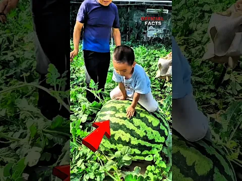 Weird Fruits You Won't Believe Actually Grow!