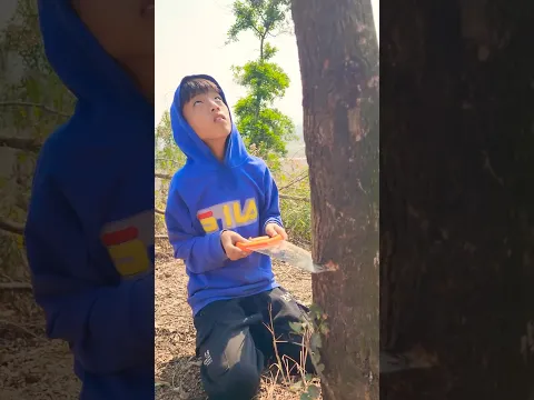 The boy knew how to plant trees to protect forests and wildlife. #shorts
