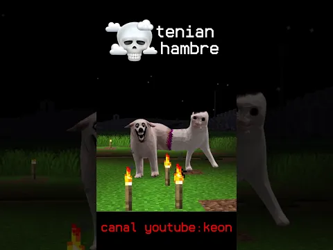 el perro y el gato