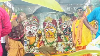 রথযাত্রার পবিত্র উৎসবে ভগবান জগন্নাথ