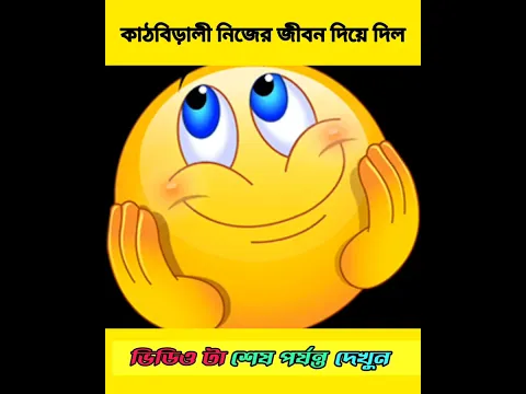কাঠবিড়ালী কেন সুইসাইড করলো 😲#shorts