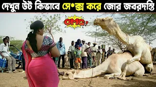 উটের ব্যাপারে অদ্ভুত এই তথ্যগুলি জানলে আপনি চমকে উঠবেন । Interesting Facts about Camel | Camel Facts