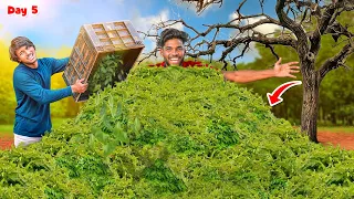 We Counted All Leaves In A Big Tree 😲 World Record !!!