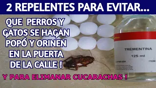🌺 PERROS Y GATOS hacen sus necesidades EN LA PUERTA DE TU CASA ? Cómo hacer 2 repelentes !