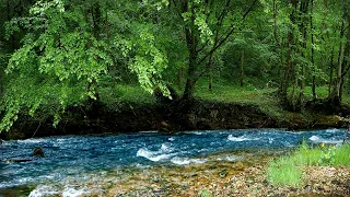 Rain and Native American Flutes | Relaxing Music for Deep Sleep, Anxiety Relief & Calm Mind