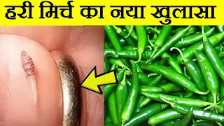हरी मिर्च खाने से शरीर में क्या होता है ये विडियो जरूर देख लो पैरों तले जमीन खिसक जाएगी