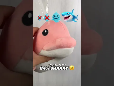 Wait for REAL SHARKY! 😊🦈