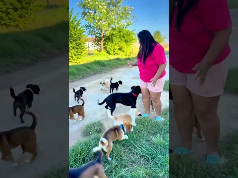 Ataque de Fofura 😊♥️