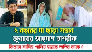 ২ বছরের মা ছাড়া সন্তান   জুবায়ের আহমাদ তাশরীফ । কিভাবে লালিত পালিত হয়েছে দাদির কাছে ?
