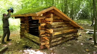 Bushcraft Shelter - Building the Live Roof