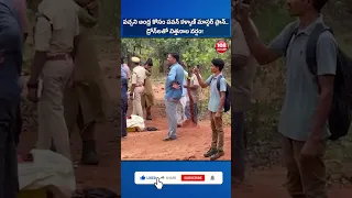 పచ్చని ఆంధ్ర కోసం పవన్ కళ్యాణ్ మాస్టర్ ప్లాన్   డ్రోన్‌లతో విత్తనాల వర్షం!#viral  #treding  #dna