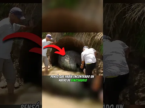 Pensó Que Había Encontrado Un Huevo De Dinosaurio, Pero Era Algo Mucho Más Increíble