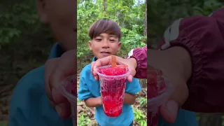 Survival Skills In Forest | SIMPLE but very USEFUL