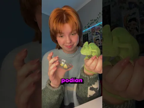 Su CAMALEÓN es su NOVIO!! 😲😲 7