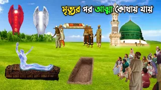 মৃত্যুর পর আত্মা কোথায় যায় || মুমিন ব্যক্তির মৃত্যু কেমন হবে || কবরের প্রথম রাত || Educational Story