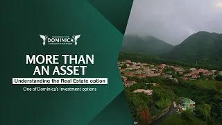 Beyond the Property: Understanding the Real Estate Option
