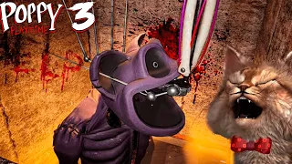 ENTRO A LUGARES SECRETOS EN POPPY PLAYTIME CHAPTER 3 😱|  DESCRUBRO TODOS LOS SECRETOS  - Gato Griton