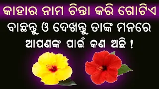 କାହାର ନାମ ଚିନ୍ତା କରି ବାଛନ୍ତୁ ଗୋଟିଏ ମନ୍ଦର ଫୁଲ ଓ ଜାଣନ୍ତୁ ଭବିଷ୍ୟତ // 2ti mandara phula