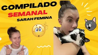 MEGA Compilado Semanal Melhores Vídeos Sarah Femina