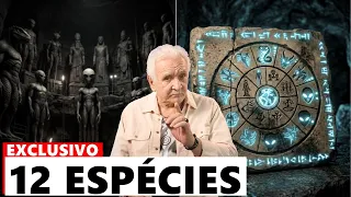 A Tábua Suméria Que Lista As 12 Raças Que Conhecem A Terra — E As Classifica Por Nível De Ameaça