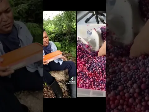 larin tiene que trabajar