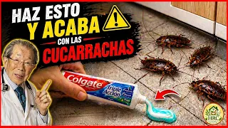 No volveras a Ver Cucarachas, Insectos o Ratas en casa acaba con las cucaracha 🪳 con esto