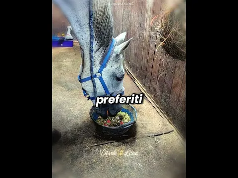 🐴💔 L’Ultimo Ricordo di Ali