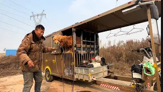 The homeless man found a place to camp with his stray dog🤠