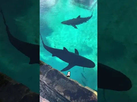 Estos Son los Lugares Más Peligrosos de la Tierra — El Último Te Aterrará 😨