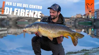 Carpfishing per le vie del centro di Firenze (Riccardo Fanucchi)