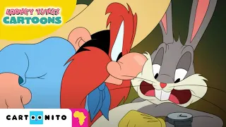 Looney Tunes Cartoons | Arm-wrestling With Bugs | Cartoonito Africa