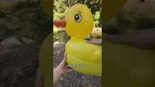 今天帶寶珠嘿嘿去露營 #比熊