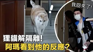 【黃阿瑪的後宮生活】狸貓解隔離回後宮！阿瑪的反應超窩心！