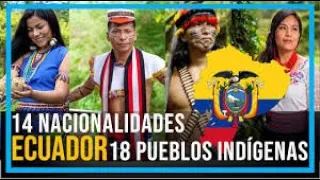 "¿Qué entiende por nación, nacionalidad y pueblo?" Universidad Amawtay Wasi