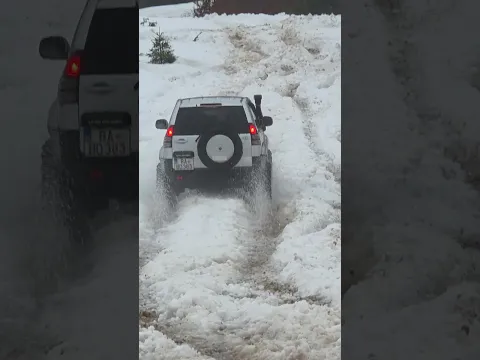 Toyota land cruiser