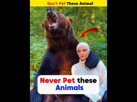 Don't Pet These Animal ❌😱 #shorts #viral #islam #onlyfornabi