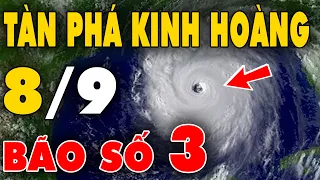 🔥 TIN BÃO KHẨN CẤP: Bão số 3 Yagi “càn quét kinh hoàng” làm 4 người chết, 78 người bị thương