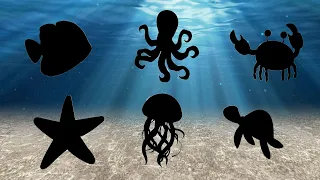 Sea Animals Puzzle for Kids - Ocean Animals Puzzle – Sea Animals Names