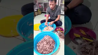 Kehidupan sederhana di rumah kucing terlantar (Rumah kucing ifan)
